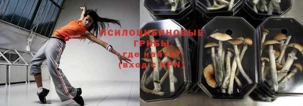 спайс Барнаул