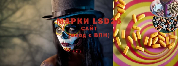 сатива Грязи