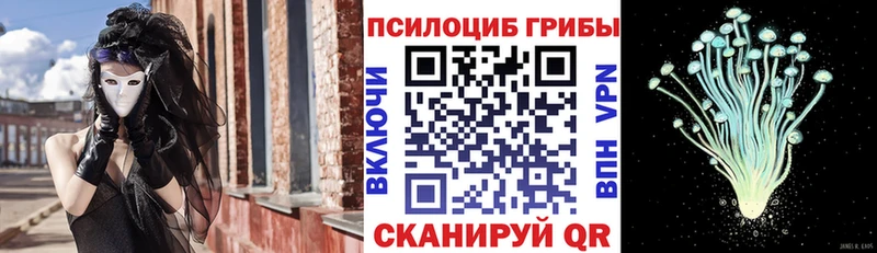 Галлюциногенные грибы Cubensis  закладка  Иноземцево 